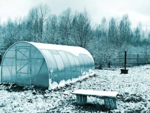 Feature | Winter Vegetable Garden: Never Too Cold for Fresh Food