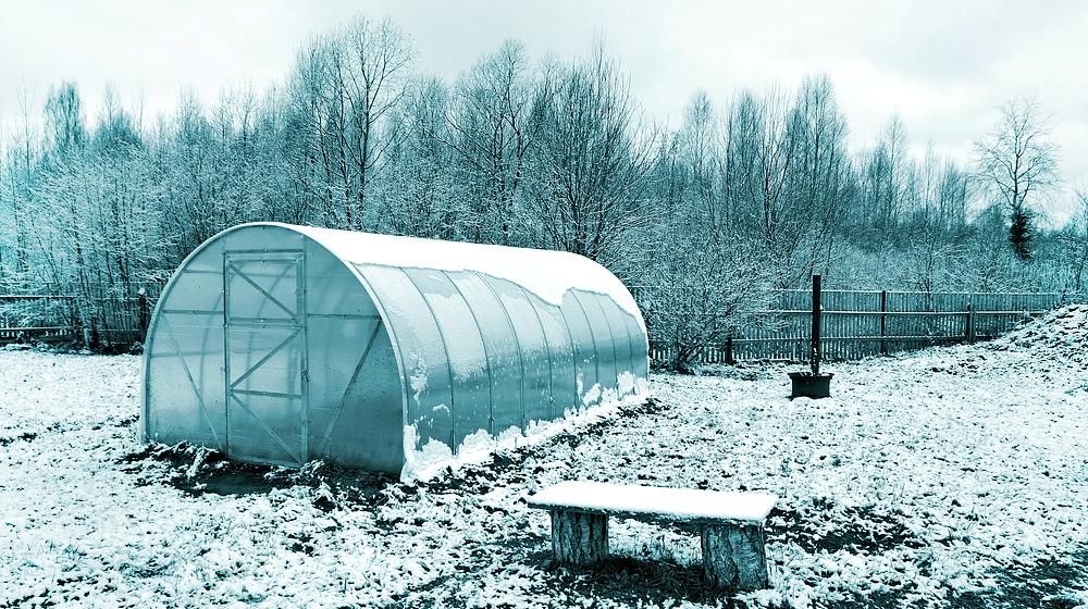 Feature | Winter Vegetable Garden: Never Too Cold for Fresh Food