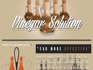 Vinegar Infographic