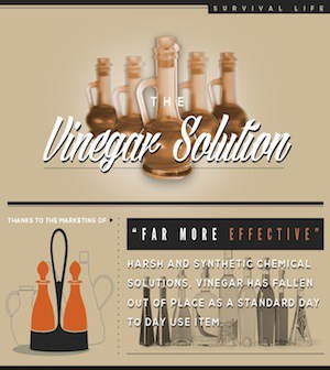 Vinegar Infographic