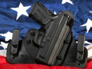 Feature | gun usa second amendment | Common Core Takes Shots at 2nd Amendment | common core writing standards