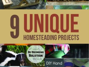 diy-homesteading-projects