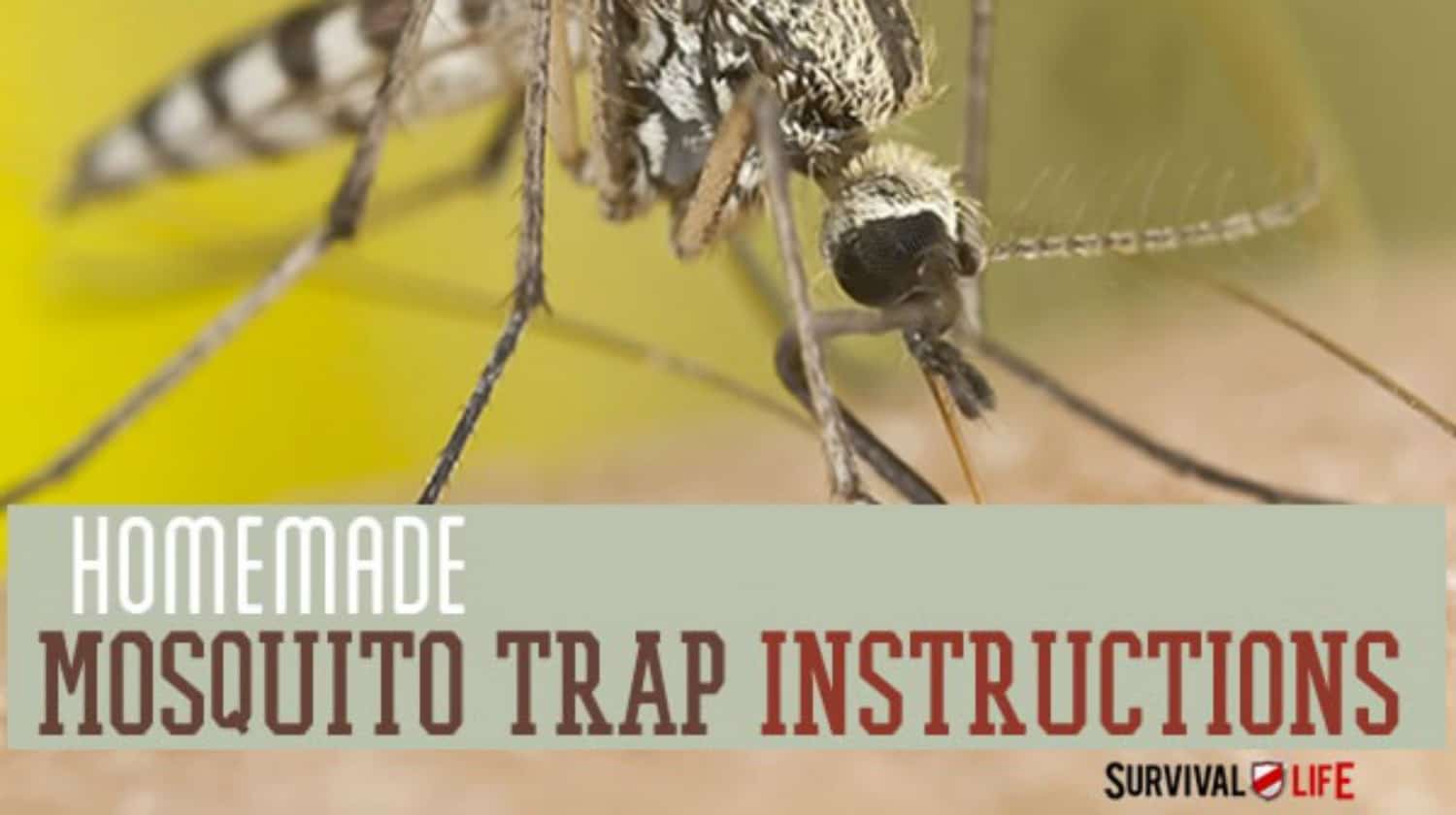 Homemade Mosquito Trap Instructions | Summer-Ready Your Preps | homemade mosquito trap | mosquito soda bottle trap | Featured