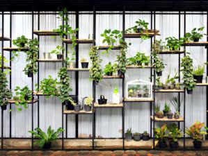 Feature | Shelf and box of tree plants decoration on wall | DIY Indoor Vertical Herb Garden