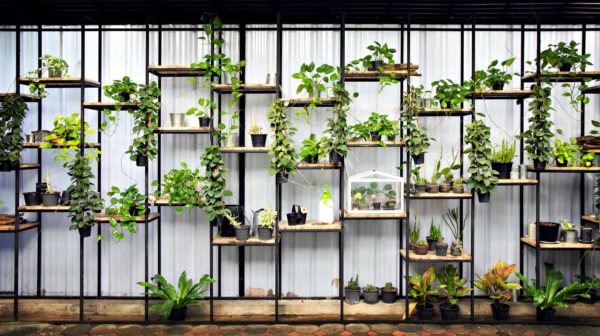 How To Make Your Own Vertical Herb Garden | Survival Life