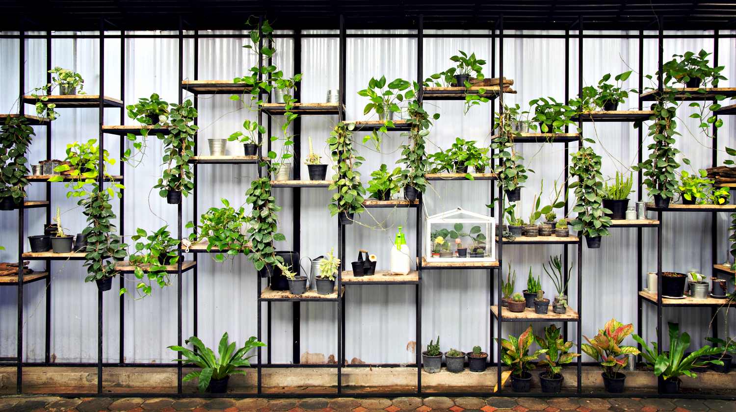 Feature | Shelf and box of tree plants decoration on wall | DIY Indoor Vertical Herb Garden