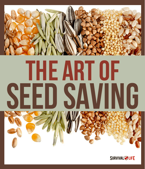 seed saving