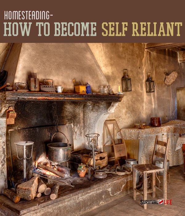 Placard | Homesteading and Sustainability: How To Become Self Reliant | how to start homesteading from scratch
