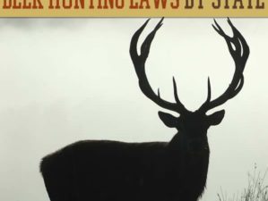 deer hunting, hunting laws, deer season, deer seasons by state, when does deer season start