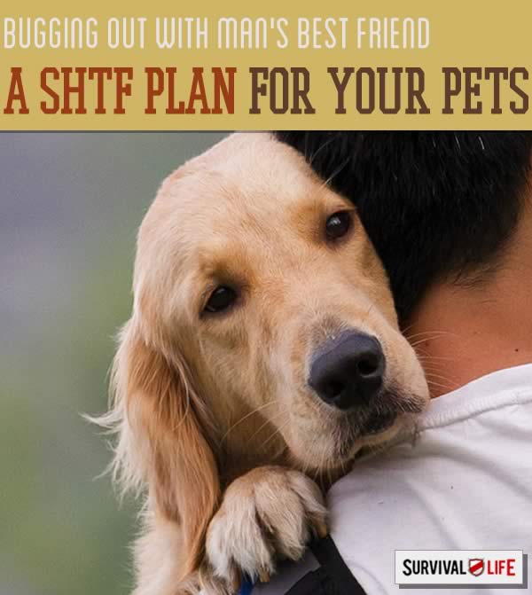 emergency preparedness tips, disaster preparedness plan, pet first aid, and how to make a SHTF plan for your pets