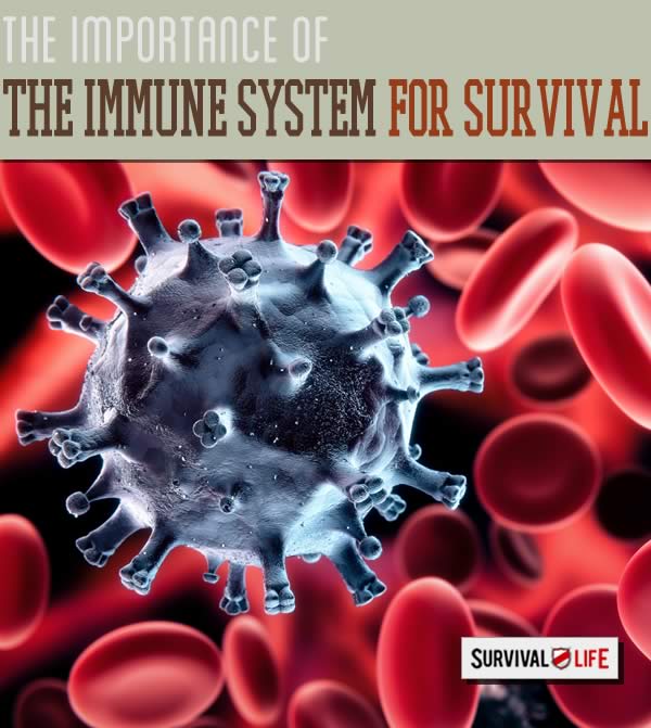 immune system, survival, surviving an illness, disease, or infection