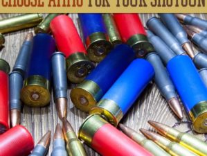 best ammo shotgun for home defense