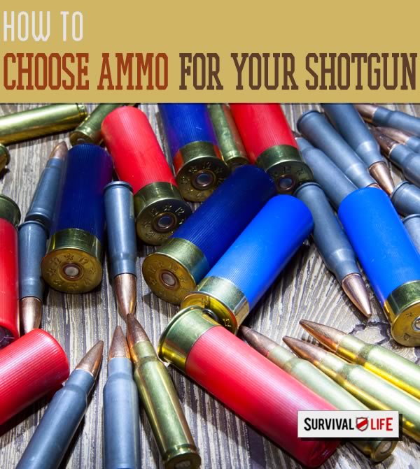 home defense, shotguns, ammunition, guns and ammo, choosing ammunition