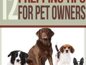 pets, prepping. prepping tips, survival tips