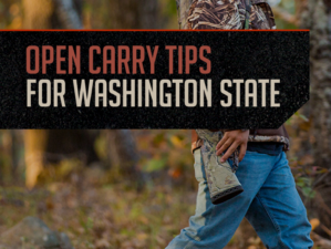 Open Carry States |Washington State by https://guncarrier.com/open-carry-states-tips-for-washington-state