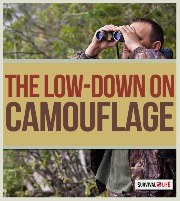camouflage, concealment, evasion, survival tips