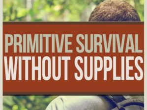 Survive Without Tools
