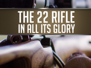 The 22 Rifle In All Its Glory | https://guncarrier.com/22-rifle-glory/