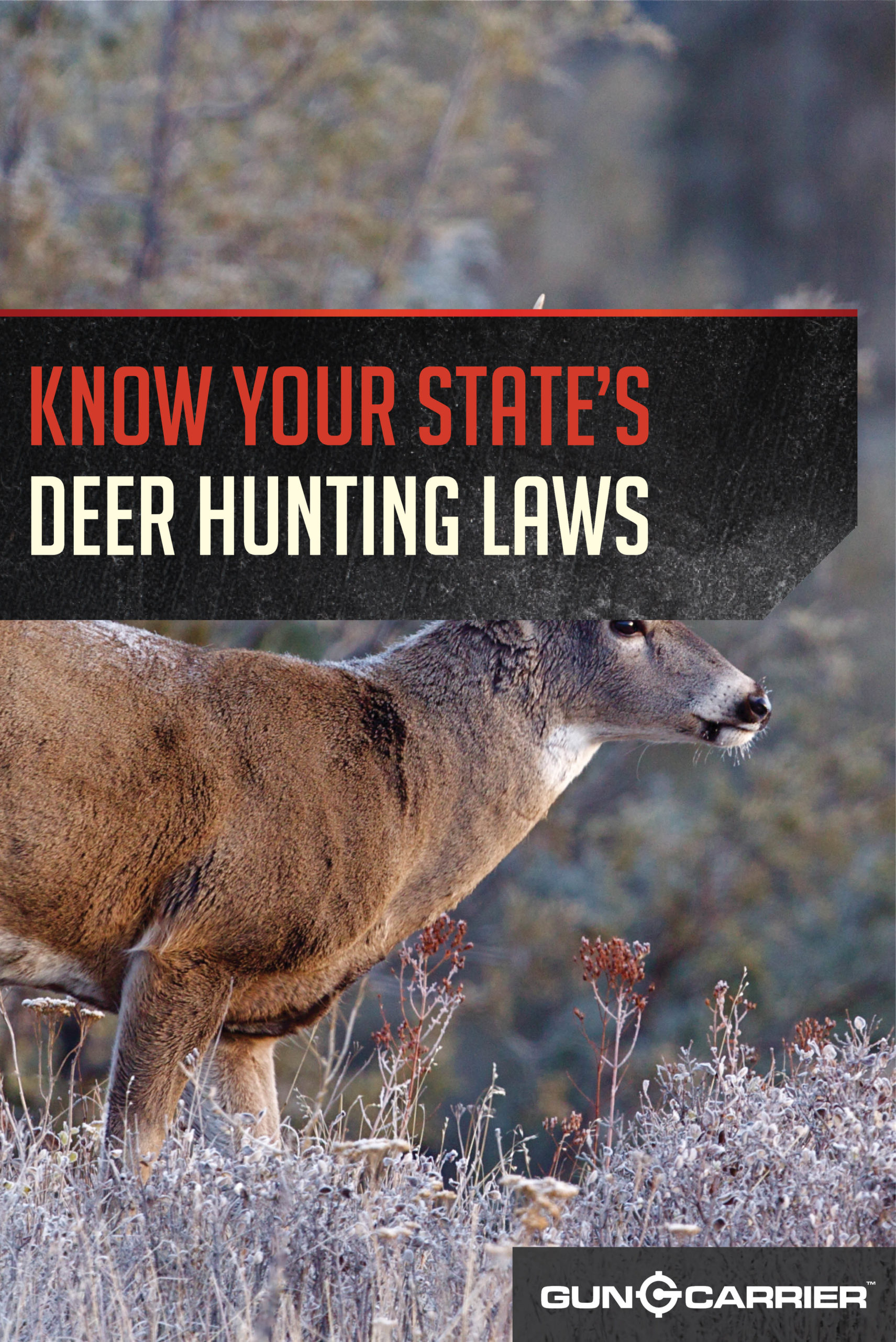 Hunting Laws | Deer Season and Hunting Laws by State by Gun Carrier at https://guncarrier.com/hunting-laws-deer-season-by-state