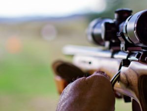 Feature | A shooter sighting in the target | The 22 Rifle In All Its Glory
