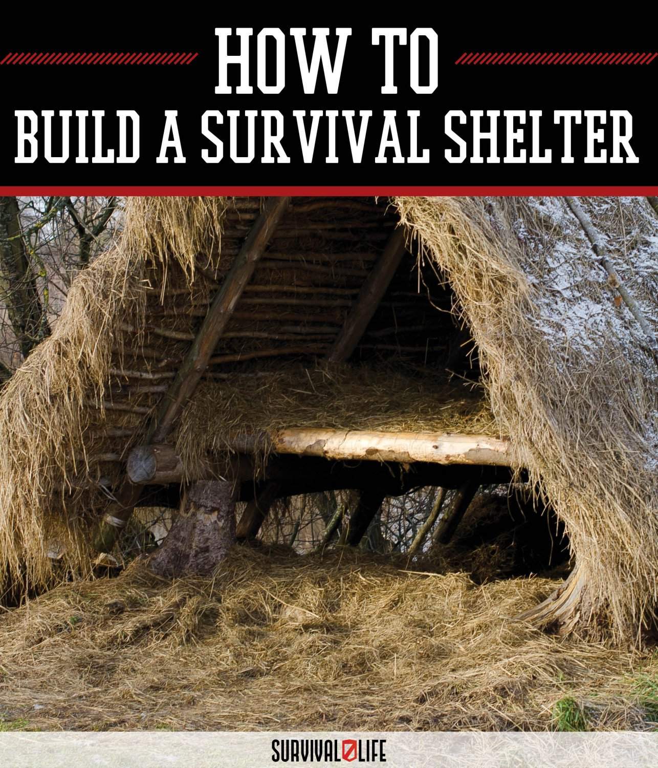 survival shelter
