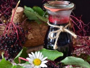 Elderberries Benefits: The Tiny Wonder Berry | Feature