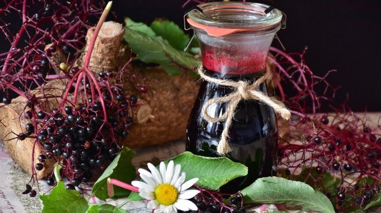 Elderberries Benefits: The Tiny Wonder Berry | Feature