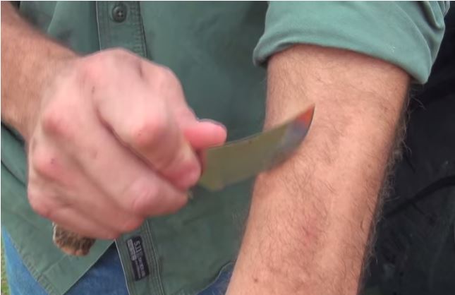 knife sharpen