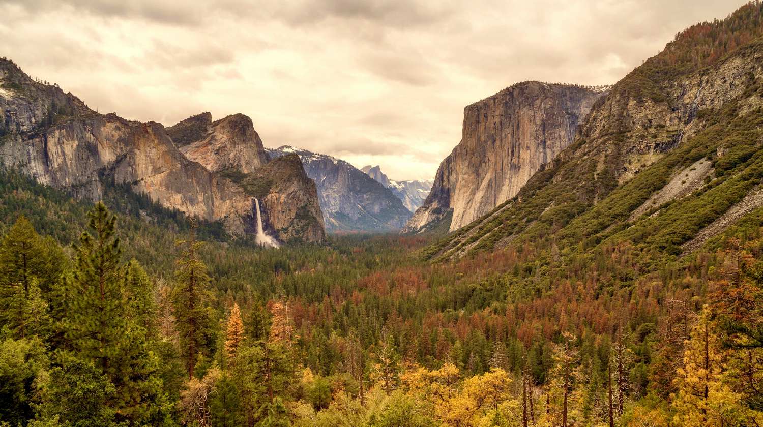Feature | Yosemite mountain and green landscape | Yosemite National Park Camping | Survival Life National Park Series