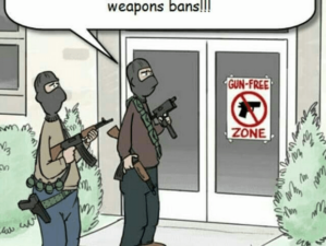 gun control debate