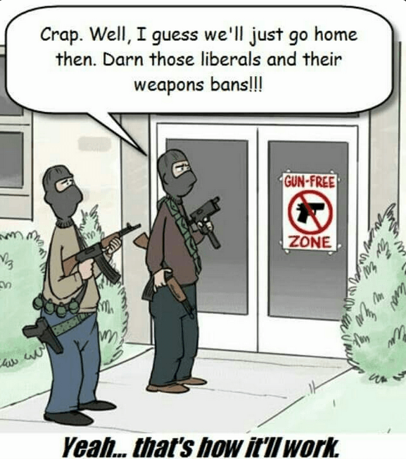 gun control debate
