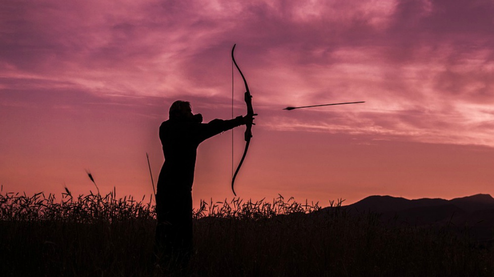Feature | How to Practice for Bow Hunting | Archery Equipment