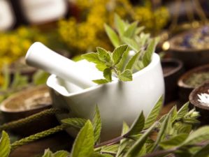 basics of herbal remedies