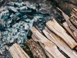 Feature | Firewood | How To Choose The Best Firewood For A Perfect Campfire