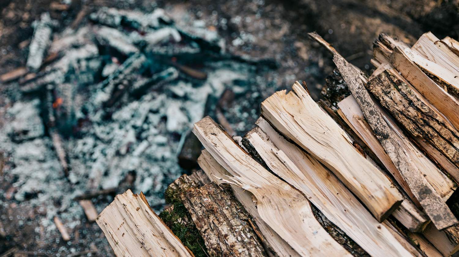 Feature | Firewood | How To Choose The Best Firewood For A Perfect Campfire