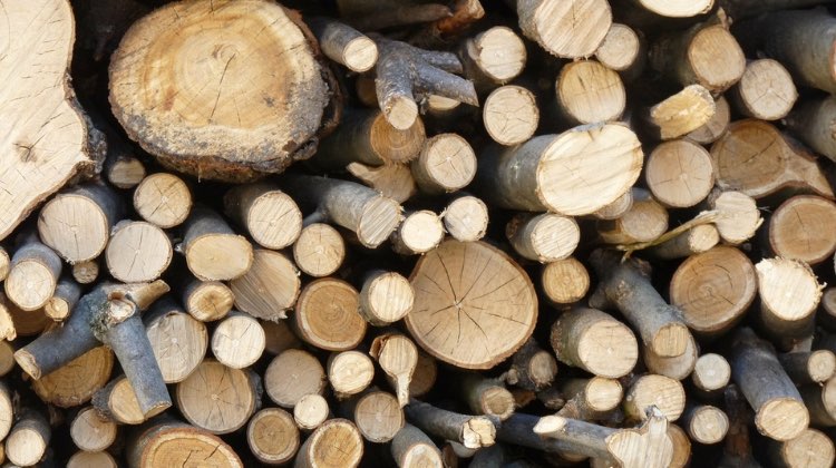 Feature | Quick Tips To Identify Dry Firewood