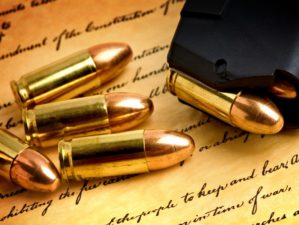 Feature | The Best Way to Learn Your Home State's Gun Laws: Part 1 | Federal Gun Laws
