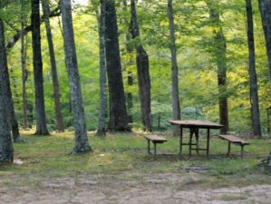 Best Campgrounds in Alabama