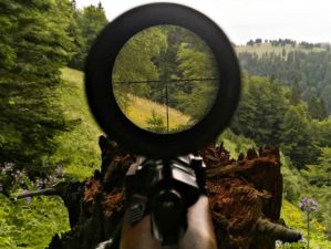View through the scope from hunter's spot | Gun Scopes and Sights You Should Invest In | Featured