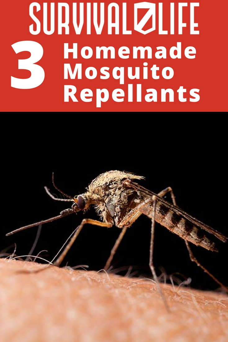 Homemade Mosquito Repellents | Natural Recipes | https://survivallife.com/3-homemade-mosquito-repellents/