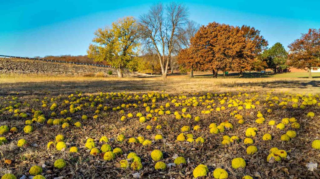 Best Campgrounds In Kansas  Survival Life  National Parks