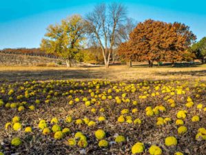Feature | Fall River State Park Kansas | Best Campgrounds In Kansas