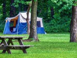 Feature | A tent is set up in an Indiana park, near a picnic table and a grove of tree | Best Campgrounds In Indiana