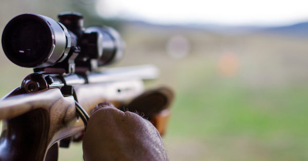 Watch This A Close Look At The Gamo Silent Cat Air Rifle