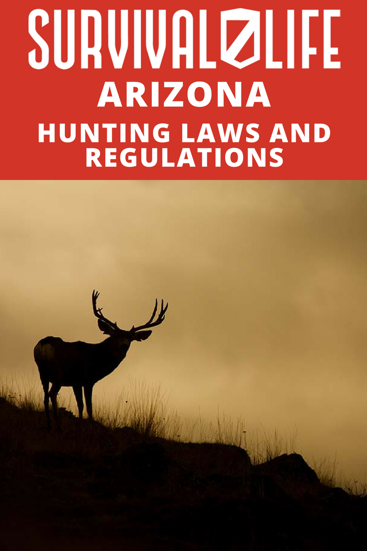 Arizona Hunting Laws & Regulations