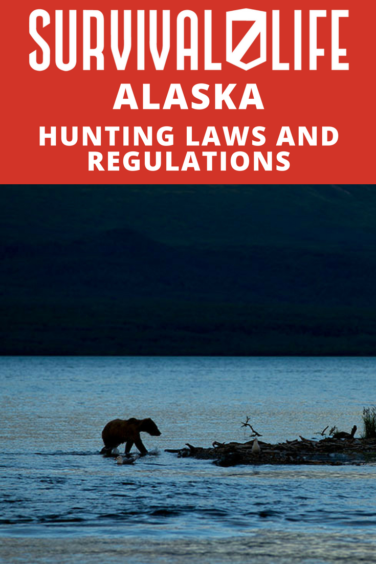 Alaska Hunting Laws And Regulations https://survivallife.com/alaska-hunting-laws-and-regulations/