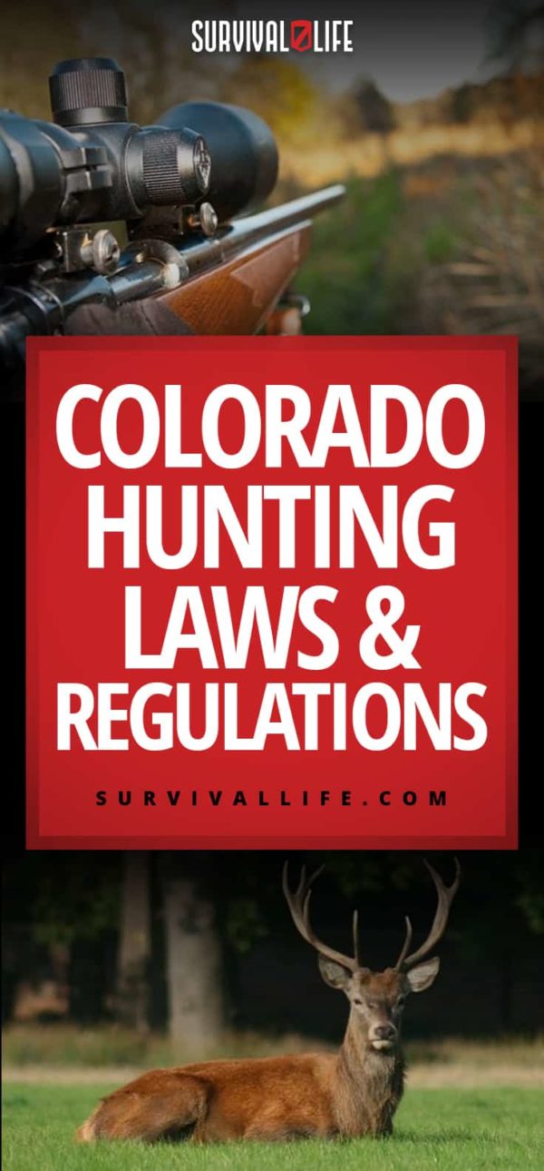 Colorado 2024 Hunting Regulations Jessy Elfrida