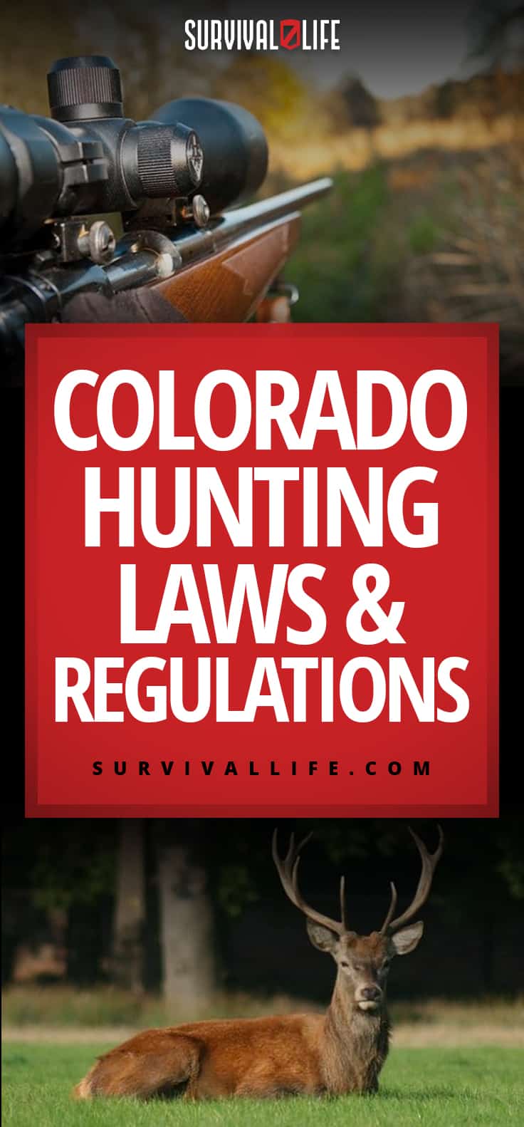 Colorado Hunting Laws And Regulations American Gun Association