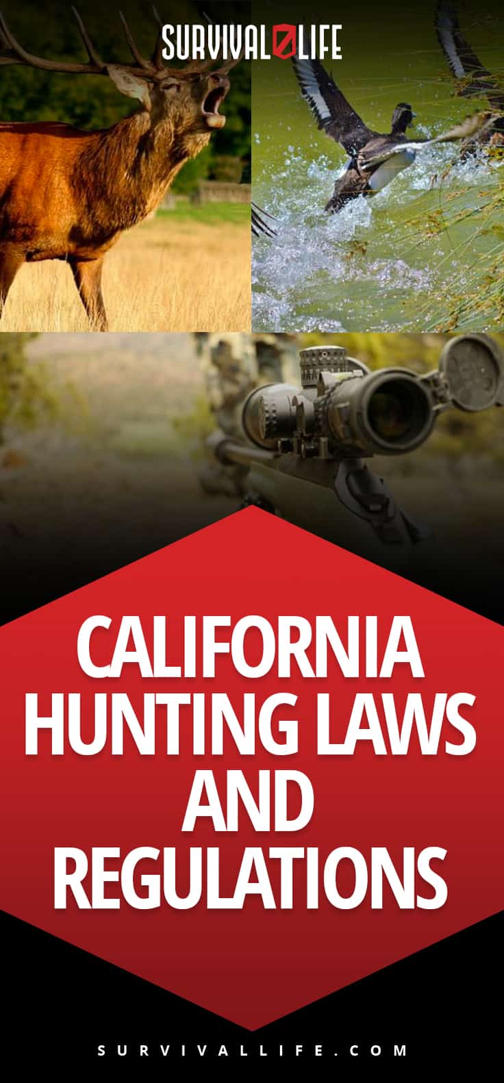 California Hunting Laws And Regulations American Gun Association