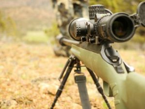 california hunting laws and regulations hunt hunting rifle gun hunter pb